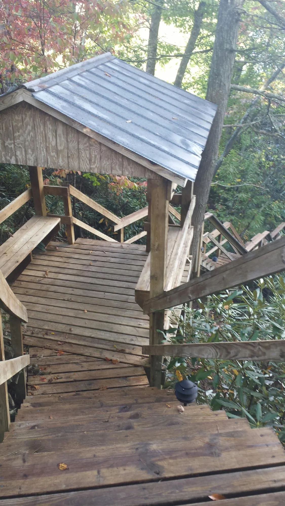 Metal roofed shelter over wooden steps on a wooded walkway — Skylight Repair & Installation work by our crew in Brunson