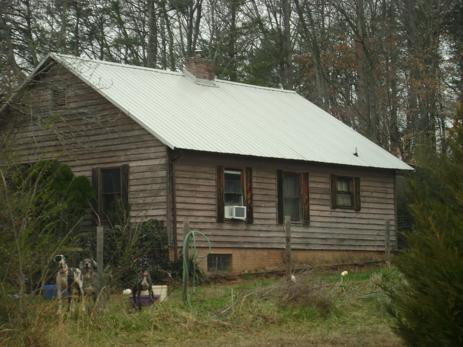 White metal roof on an old wood sided farmhouse, from a Asphalt Shingle Roof Repair job in Brunson